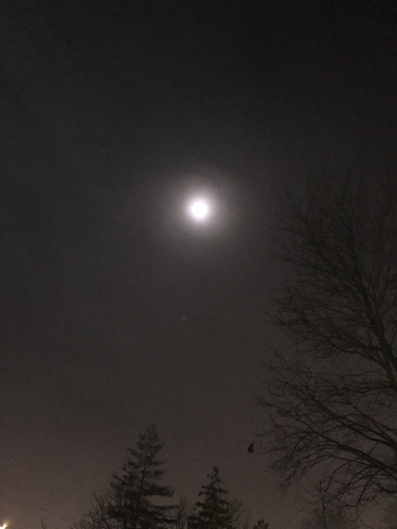 Full Moon Waterloo, Ontario, CA
