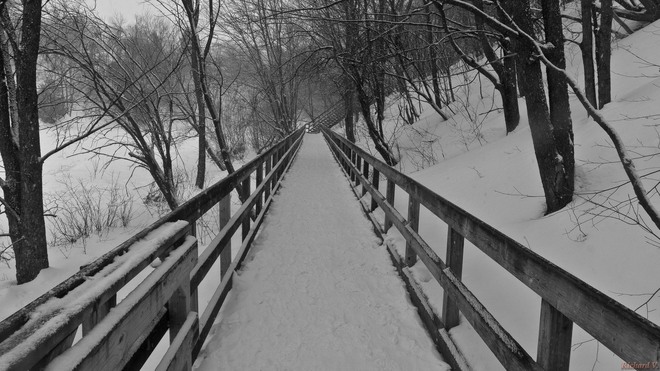 Sentier au parc Chauveau Parc Chauveau, Avenue Chauveau, Québec, QC