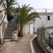 palm of Méditerranée
