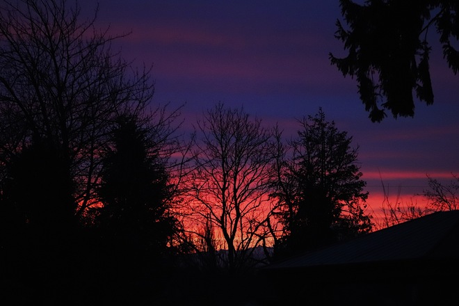 Morning Sunrise Surrey, BC