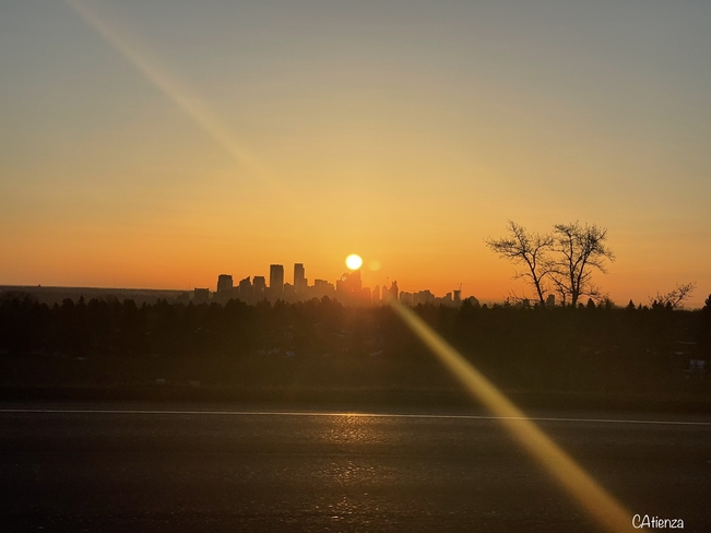 Little Calgary town really beautiful sunrise Calgary, Alberta, CA