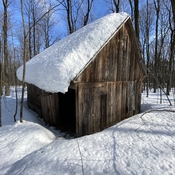 Cabane à sucre sous la neige