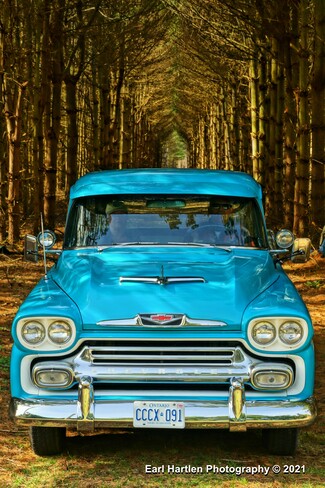 1958 Chevrolet Apache Pickup Truck Norfolk County, ON