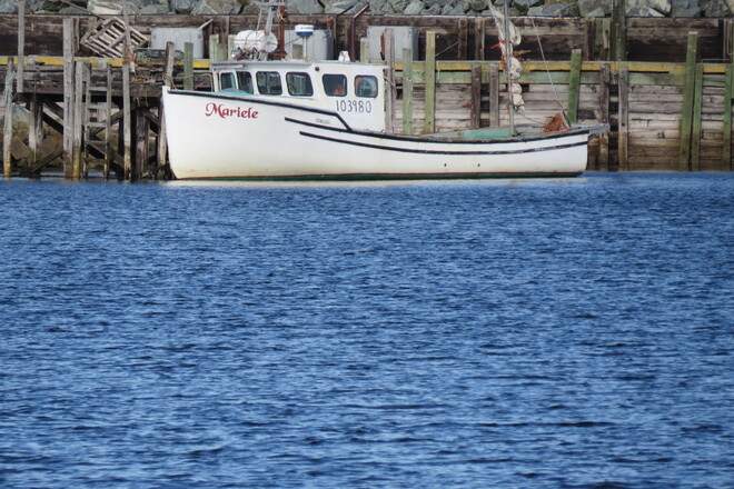 Lobster Boats. Dublin Bay NS.