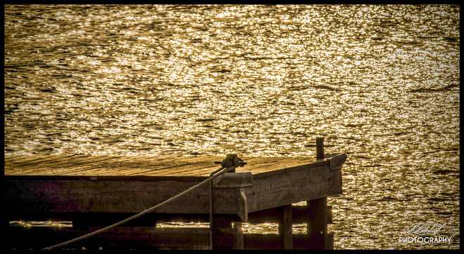 Sun drenched dock. Port Dalhousie, Ontario, CA