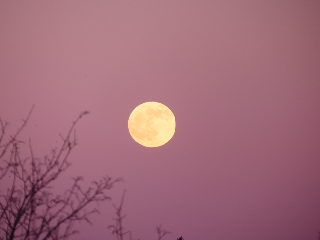 Pleine lune Rosemère, QC