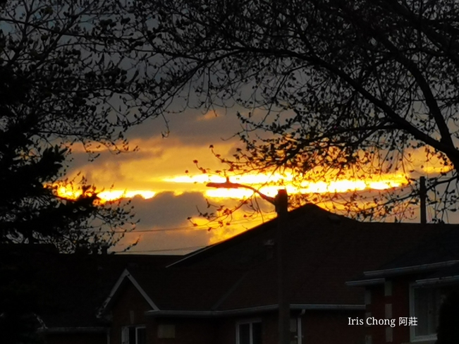 Unexpected Cloudy sunset on fire! 7:45pm 13C Thornhill - April 14 2021 Thornhill, ON