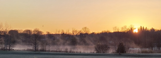 Sunrise on the Meadow Orillia, ON