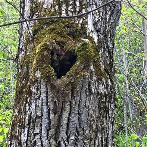 La nature parle. Saguenay, QC