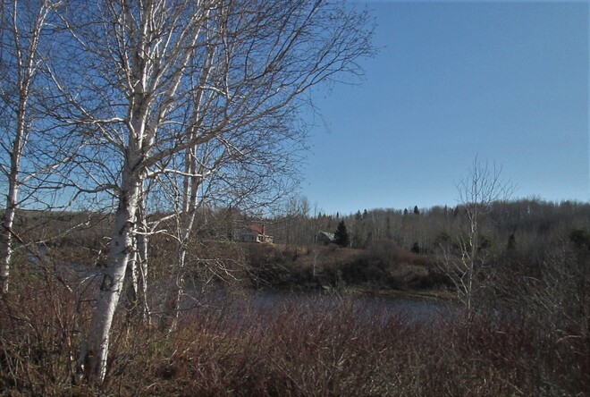 la rivière Saint-André-du-Lac-Saint-Jean, QC