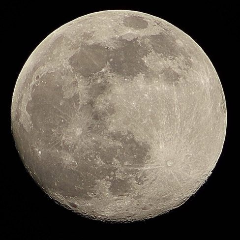 Moon Leamington, Ontario, CA