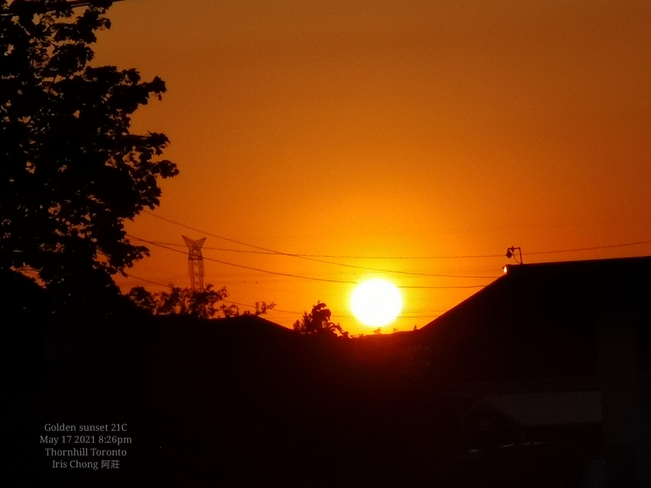 Summer feel - Golden sunset 21C 8:26pm Thornhill May 17 2021 Thornhill, ON