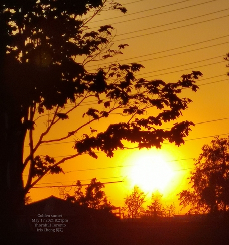 Summer feel - Golden sunset 21C 8:21pm Thornhill May 17 2021 Thornhill, ON