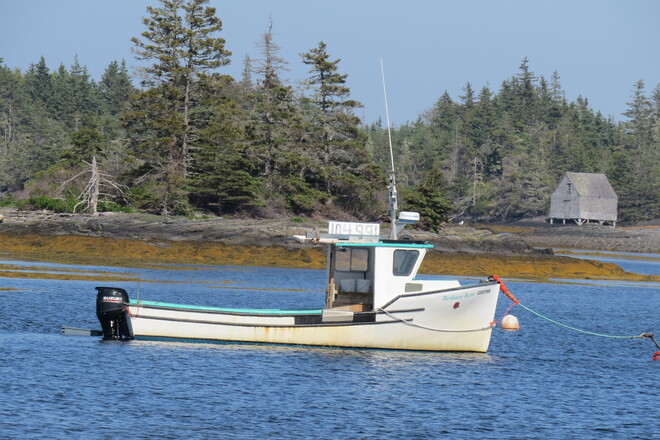 Lobster boats and pleasure boats. Blue Rocks, NS
