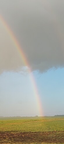 Rainbow Tisdale, SK