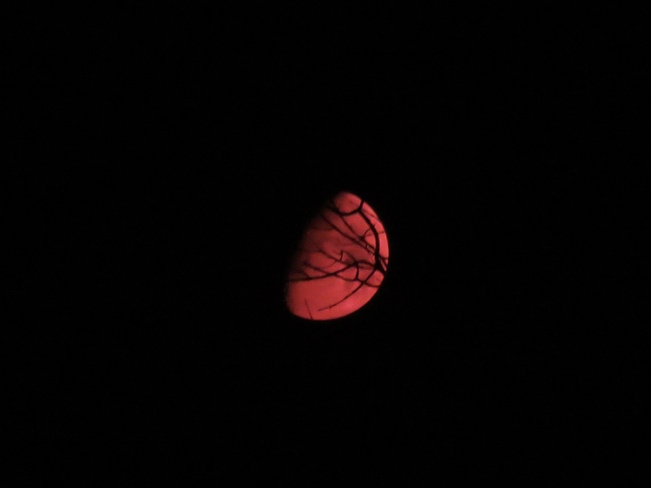 Moon in Red Willow Beach, Georgina, ON