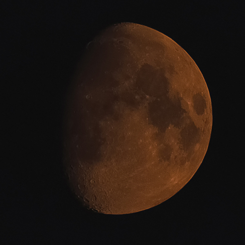 Orange Moon in Southern Ontario Newmarket, ON