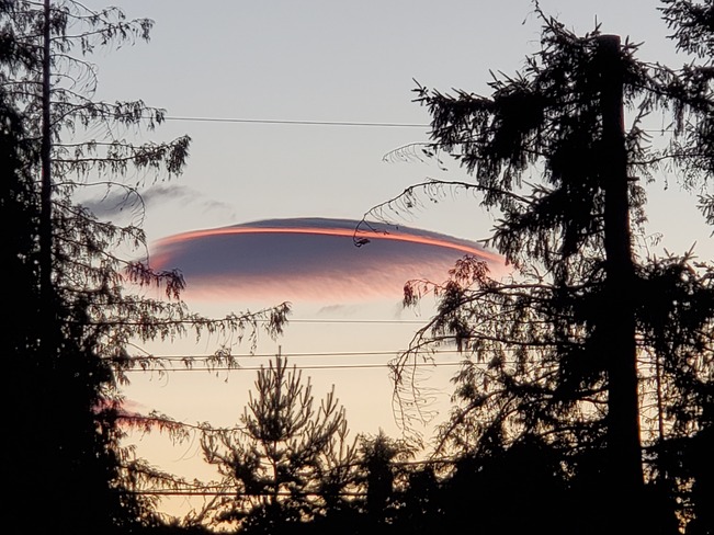 Ufo Cloud Coombs, BC