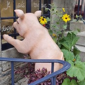 Le Cochon Dingue de Québec