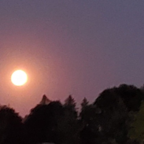 Red Moon.. Kennedy Park, ON