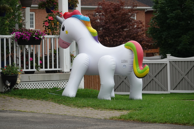 Allegedly a Unicorn Lawn sprinkler! Northeast Oshawa, Ont.