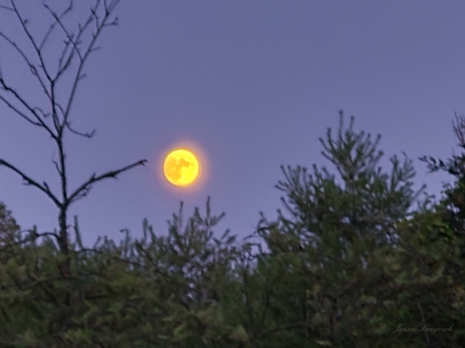 Full moon, almost, July 15, 2021 Tiny, ON