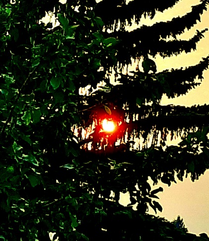 sunset Sun sure is red Red Deer, AB