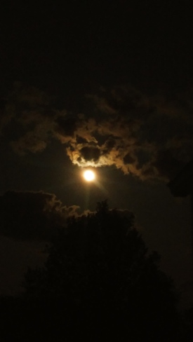 beautiful moon Cooks Mills, ON