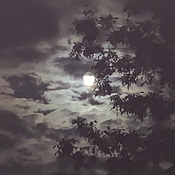 Soir de pleine lune