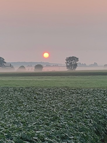 Sunrise and mist Paisley, ON