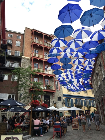 Parapluies Québec, Québec, CA