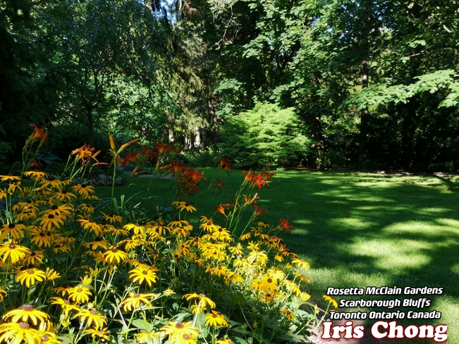 August 5 2021 28C Beautiful garden- Rosetta Mcclain Gardens- Scarborough Bluffs Scarborough, ON