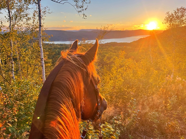 Coucher de soleil sur le Fjord à dos de cheval Sacré-Coeur-Saguenay, Québec, CA