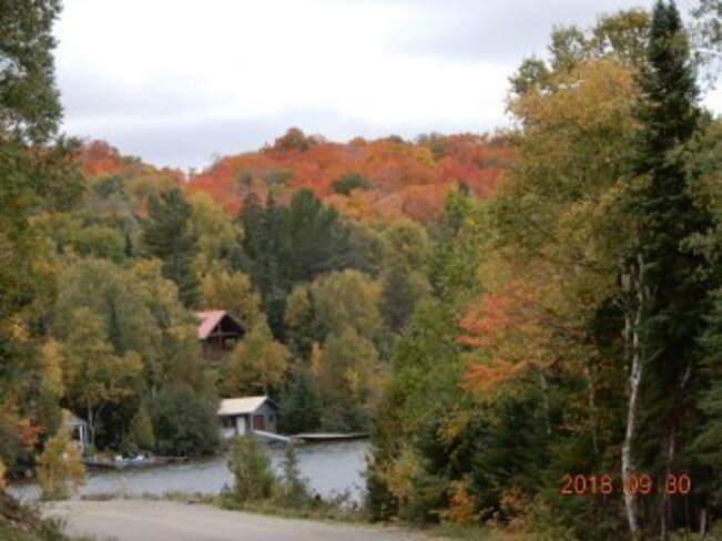 Fall colors Ranger Lake, ON