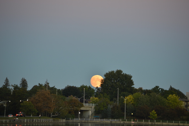 moon Ottawa, ON