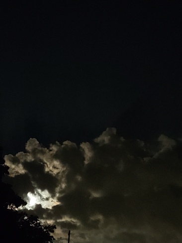 moon rays Fletcher, ON