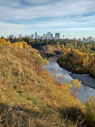 fall color Calgary, AB