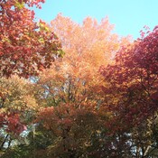 De belles couleurs d&#39;automne
