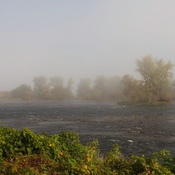 Brouillard d&#39;automne
