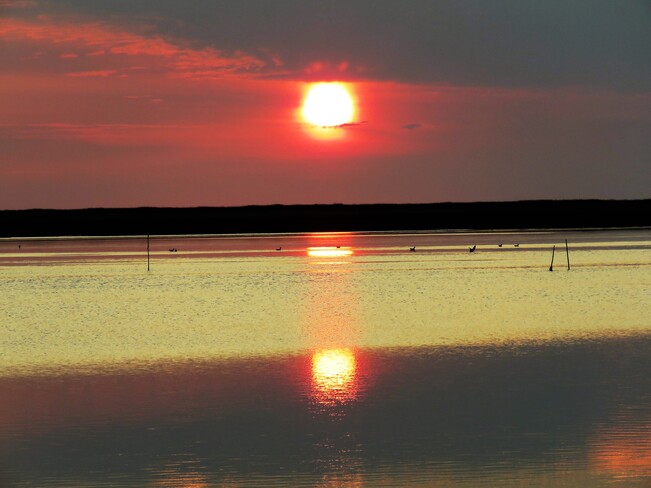 lever de soleil Pointe-à-Bouleau, NB