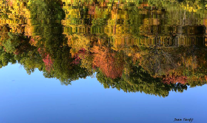 Reflet d'automne... Saint-Jean-sur-Richelieu, QC