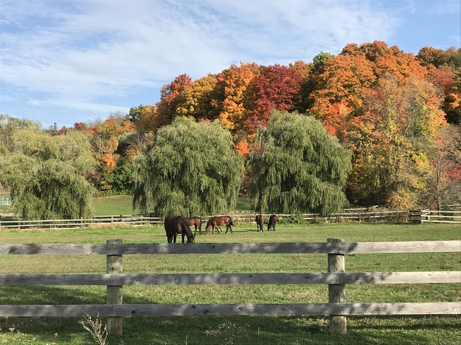 L’automne au ranch