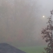 Grosse brume ce matin!