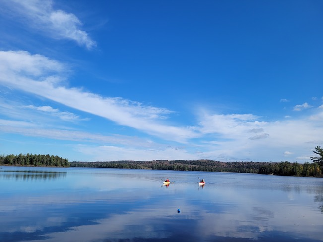 Canisbay lake, Algonquin park Algonquin Provincial Park, ON