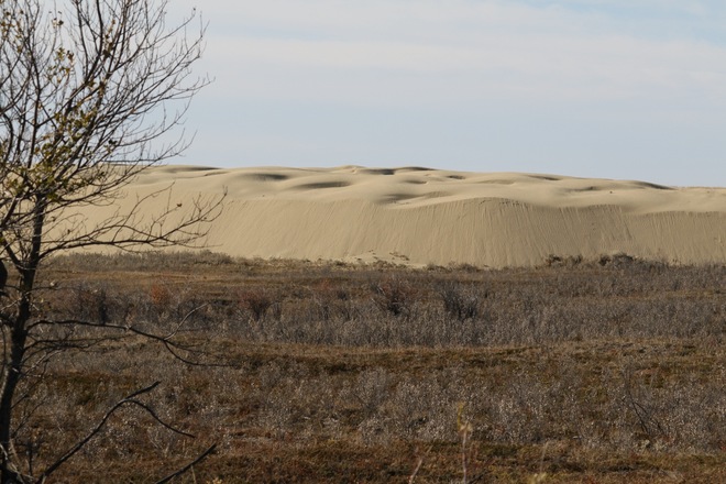 Great Sandhills of Saskatchewan Sceptre, SK