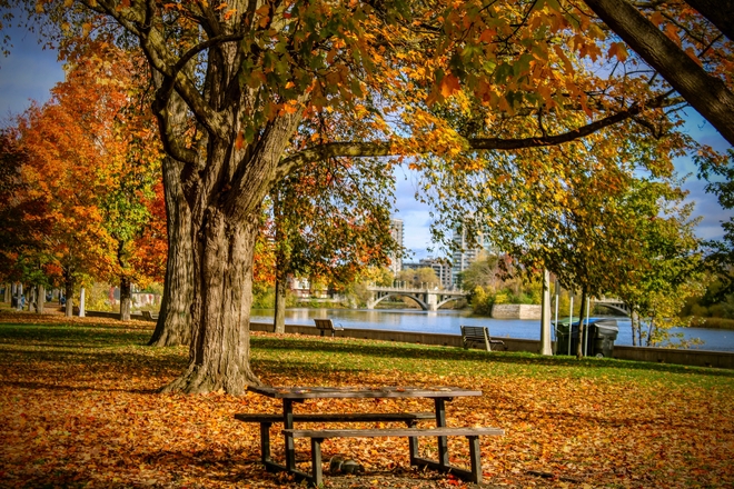 Fall here in Ottawa Ottawa, Ontario, CA