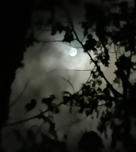lune brumeuse Notre-Dame-du-Lac, QC