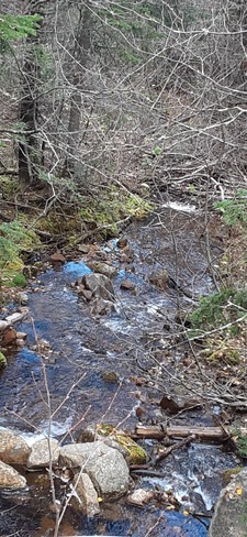 Beau ruisseau a l'automne Le Manoir-Brûlé, QC