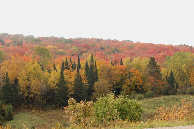 Stunning Fall Colours Blind River, ON
