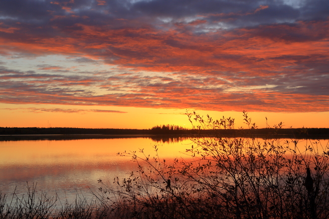 Sunrise at Elk Island NP Elk Island National Park, Range Rd 203, Fort Saskatchewan, AB